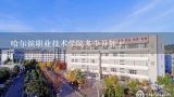 哈尔滨职业技术学院多少分能上,哈尔滨职业技术学院在江北么