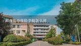 湖南长沙保险学院怎么样,长沙保险学院