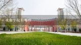 戏曲学院有哪些,江苏省戏剧学校是几本？学校师资力量怎么样？