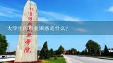 大学生的职业困惑是什么？大学生为什么会职业困惑