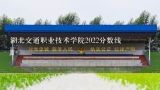 湖北交通职业技术学院2022分数线,武汉交通职业技术学院是几本