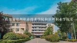 山东省滨州职业技术学院和滨州职业学院是一个学校吗？山东滨州职业学院怎么样？