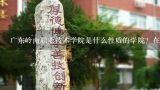 广东岭南职业技术学院是什么性质的学院？在哪些省招,广东岭南职业技术学院2020年报考政策解读