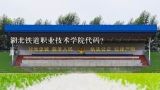武汉铁路司机学校就是湖北铁道运输职业技术学院是吗,湖北铁道职业技术学院怎么样？
