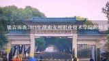 能告诉我2018年湖南永州职业技术学院的幼儿健康与管,湖南永州市有哪些高校，都怎么样？