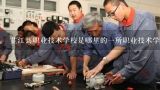 芷江县职业技术学校是哪里的一所职业技术学校?