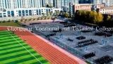 Chongqing Vocational and Technical College的毕业生就业情况如何?