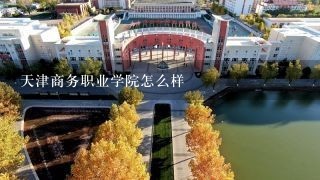 天津商务职业学院怎么样