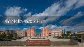 临沂职业学院怎么样？