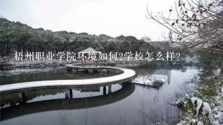 梧州职业学院环境如何?学校怎么样?