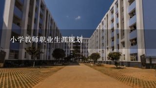 小学教师职业生涯规划