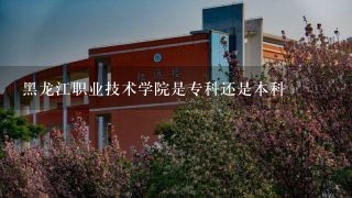 黑龙江职业技术学院是专科还是本科