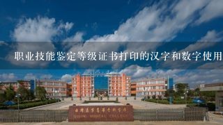 职业技能鉴定等级证书打印的汉字和数字使用（）字体。