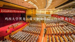 鸡西大学黑龙江煤炭职业学院七台河职业学院三个学校的煤矿专业谁的更好？