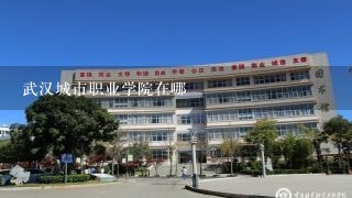 武汉城市职业学院在哪