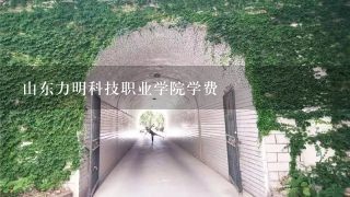 山东力明科技职业学院学费