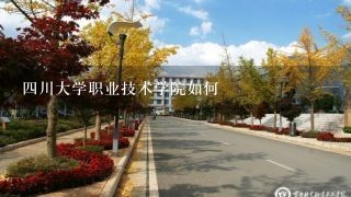 四川大学职业技术学院如何