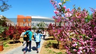 石家庄法商职业学院学校据说很美？