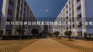 四川省青神县国税系统待遇怎么样？有一童靴公务员考进了，问问。望诸位大侠援手！