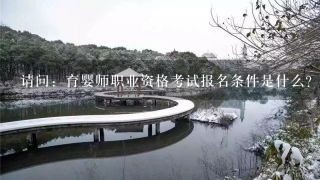 请问：育婴师职业资格考试报名条件是什么？