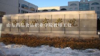 山东药品食品职业学院教师工资