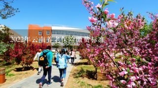 2022年云南养老保险缴费标准