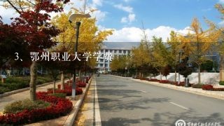 鄂州职业大学学费