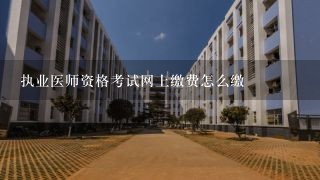 执业医师资格考试网上缴费怎么缴