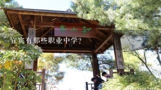 宜宾有那些职业中学？