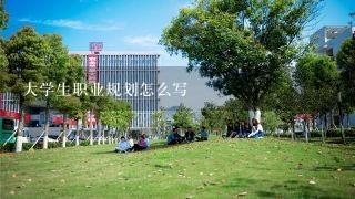 大学生职业规划怎么写