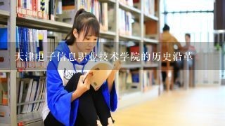 天津电子信息职业技术学院的历史沿革