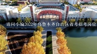 请问小编2022年乌鲁木齐自治区省考招考岗位前十位的