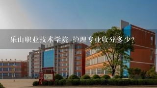 乐山职业技术学院 护理专业收分多少？