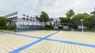 武汉警官职业学院在哪个区