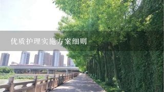 优质护理实施方案细则