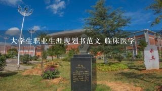 大学生职业生涯规划书范文 临床医学