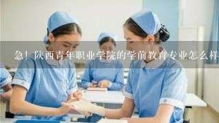 急！陕西青年职业学院的学前教育专业怎么样？就业如何？可以升本科吗？