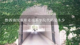 黔西南民族职业技术学院代码是多少