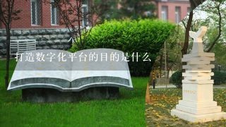 打造数字化平台的目的是什么