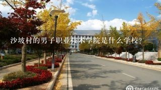 沙坡村的男子职业技术学院是什么学校？