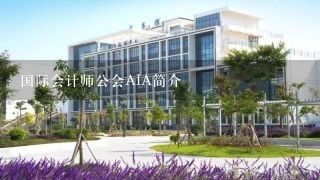 国际会计师公会AIA简介