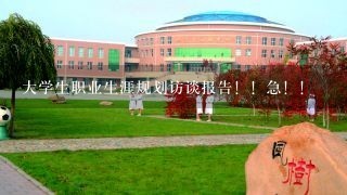 大学生职业生涯规划访谈报告！！急！！