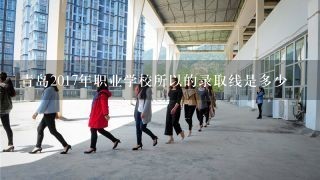 青岛2017年职业学校所以的录取线是多少