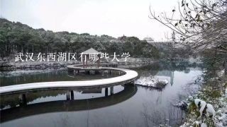 武汉东西湖区有哪些大学