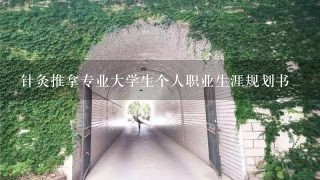 针灸推拿专业大学生个人职业生涯规划书