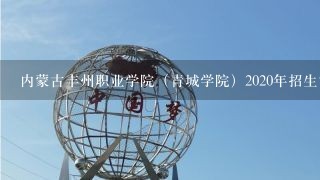 内蒙古丰州职业学院（青城学院）2020年招生简章