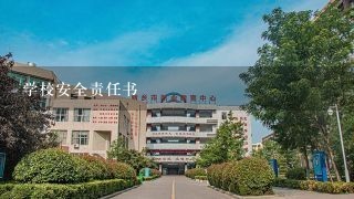 学校安全责任书