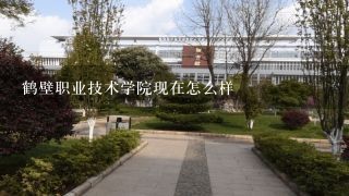 鹤壁职业技术学院现在怎么样