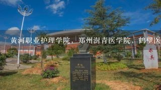 黄河职业护理学院，郑州澍青医学院，鹤壁医学院，这三个学校的护理系哪个比较好，帮朋友问的他是男生以后