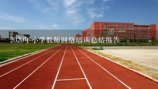 2020年小学教师网络培训总结报告